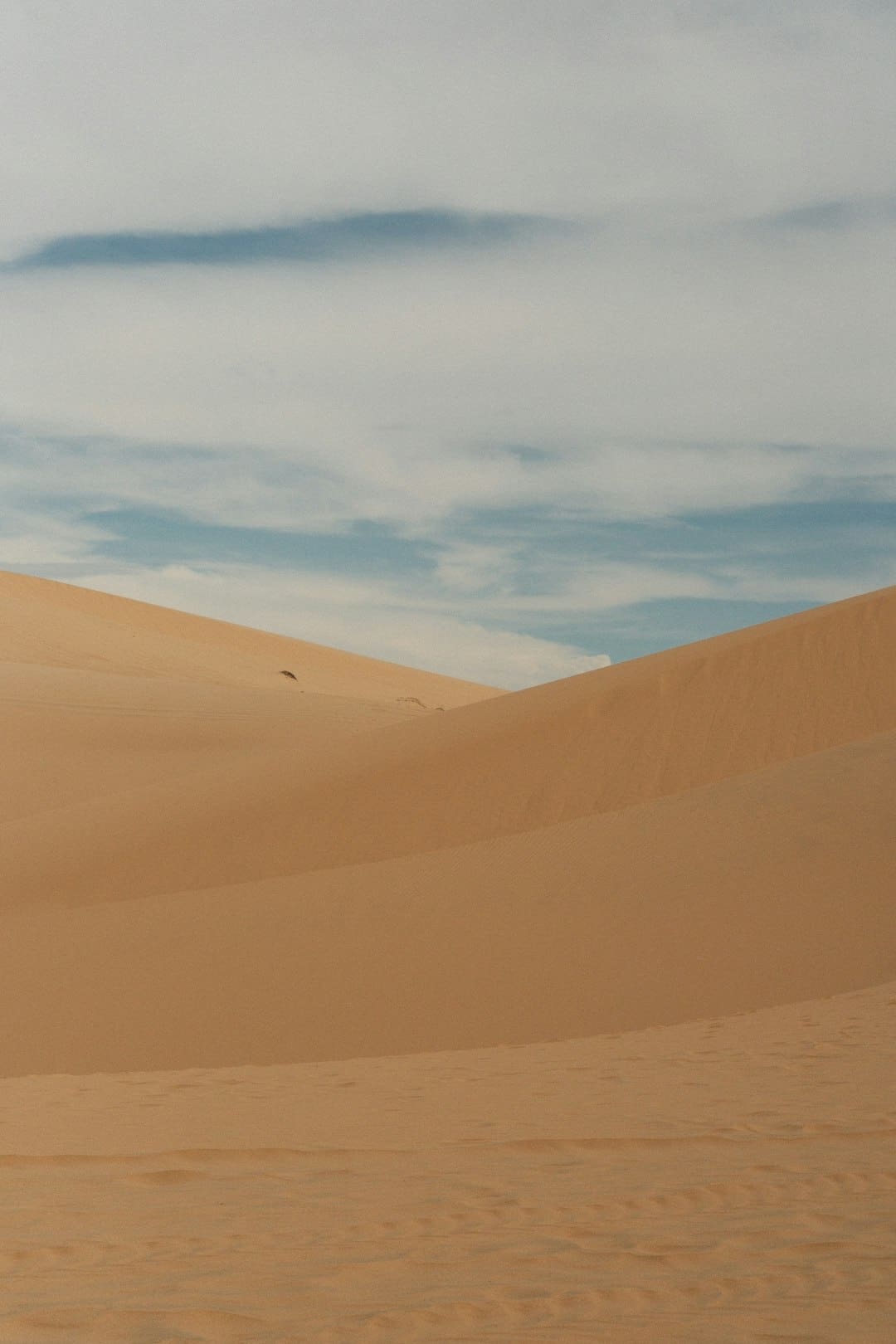 https://static.ws.126.net/163/frontend/images/2022/empty.png